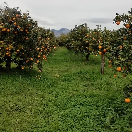 Agriturismo Serra Pernice Feriegård San Biagio Platani